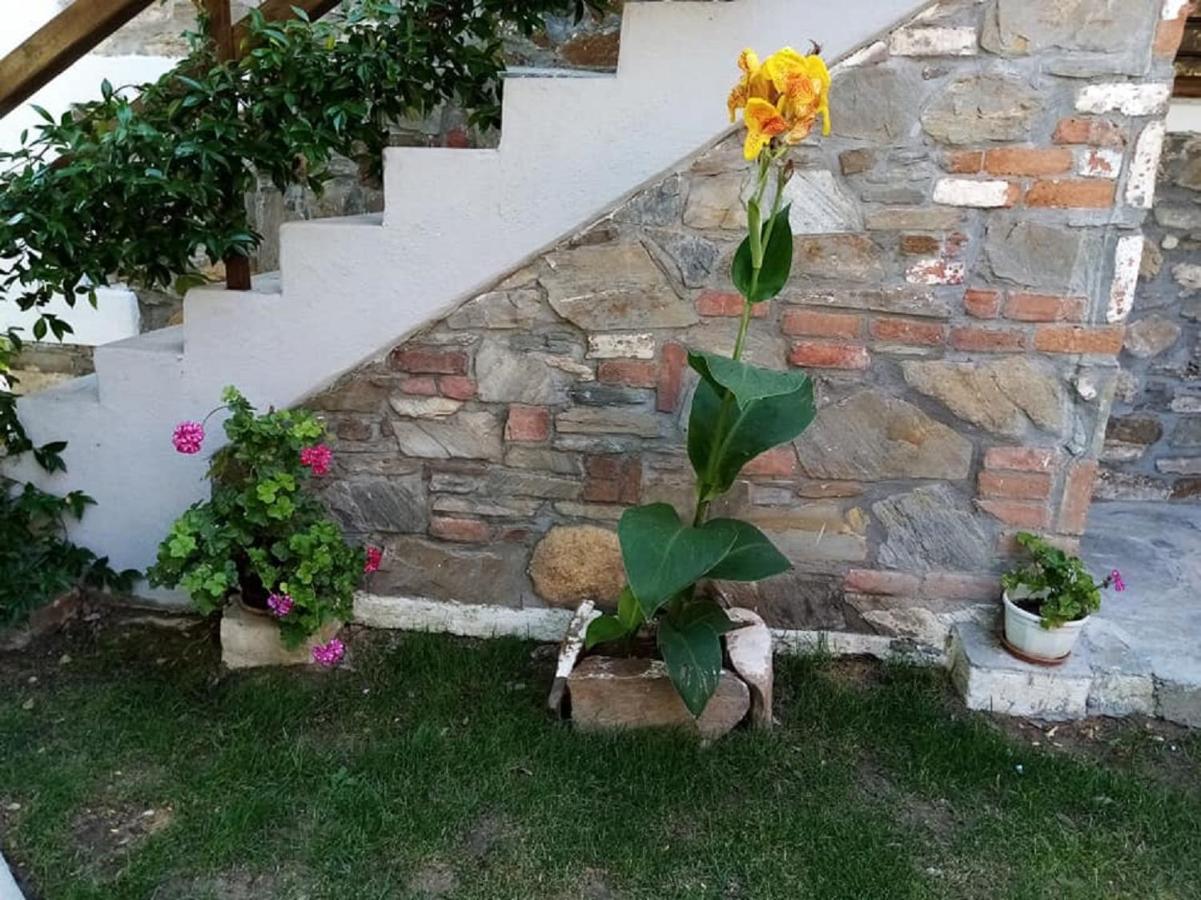 Petrino1880 Sea-Vacation Apartment In Chalkidiki Ájos Nikólaos Eksteriør bilde