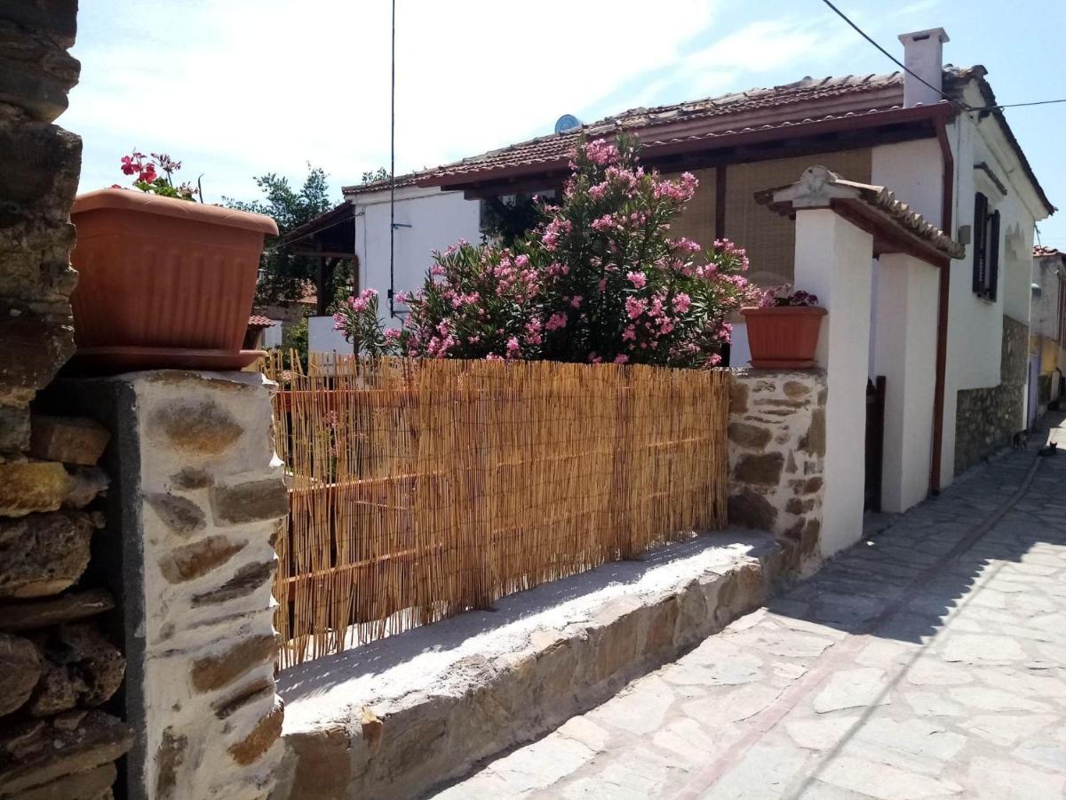 Petrino1880 Sea-Vacation Apartment In Chalkidiki Ájos Nikólaos Eksteriør bilde