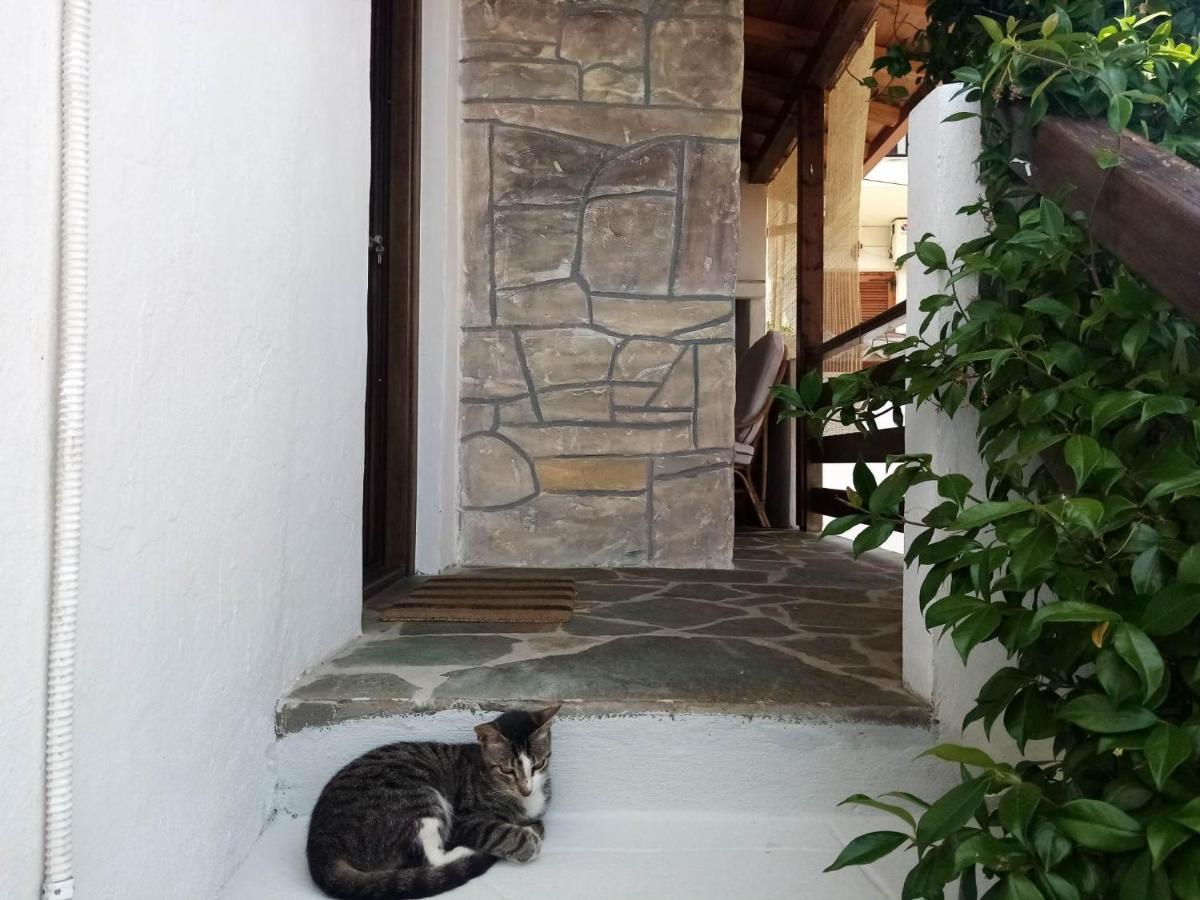 Petrino1880 Sea-Vacation Apartment In Chalkidiki Ájos Nikólaos Eksteriør bilde