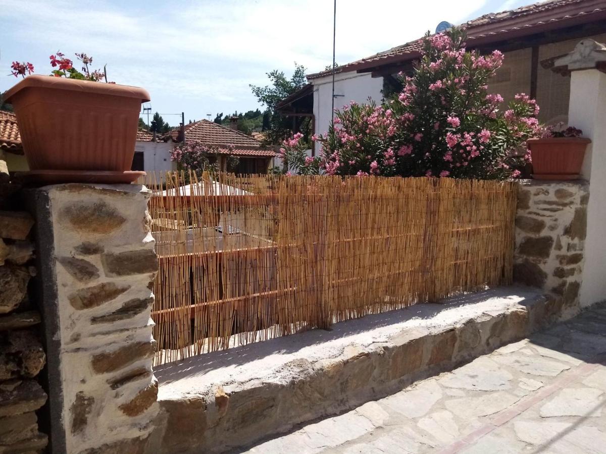 Petrino1880 Sea-Vacation Apartment In Chalkidiki Ájos Nikólaos Eksteriør bilde
